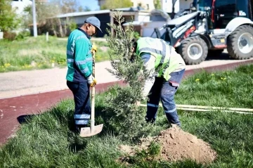 Aksaray’da ağaç dikme seferberliği başlatıldı
