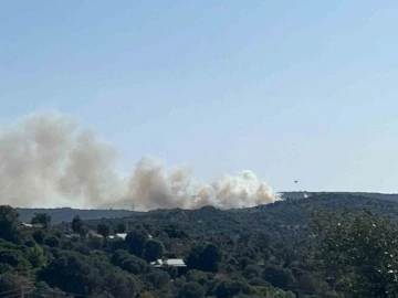 Alaçatı’daki orman yangınına müdahale ediliyor
