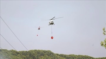 Alanya'daki orman yangını kontrol altına alındı