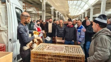 Alaplı Ziraat Odası, çiftçilere tavuk dağıttı
