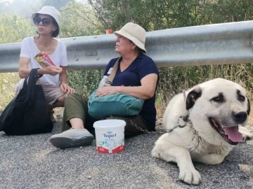 Alevler evinin bahçesine kadar geldi, gözyaşlarına hakim olamadı
