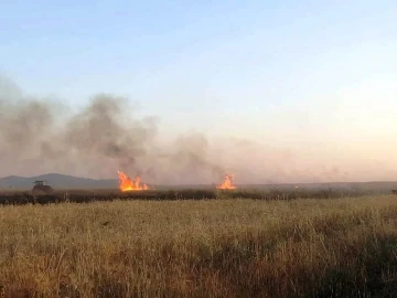 Altıntaş’ta biçerdöver kaynaklı çıkan yangında 70 dekar hububat ekili alan zarar gördü
