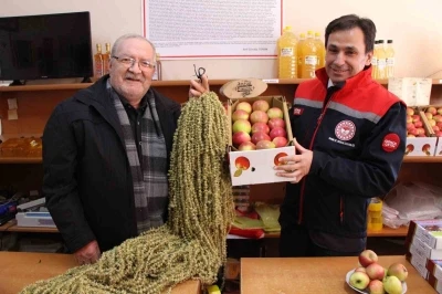 Amasya’nın misket elması ve çiçek bamyası AB’ye tescil yolunda
