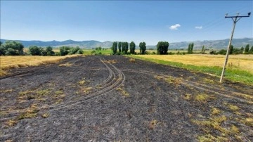 Amasya'da çıkan yangında 4 dönüm buğday ekili alan yandı