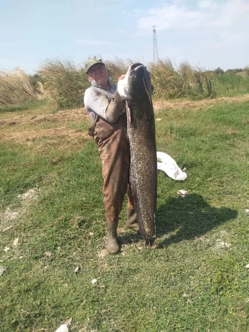 Amatör balıkçının yakaladığı yayın balığını görenler şaştı kaldı
