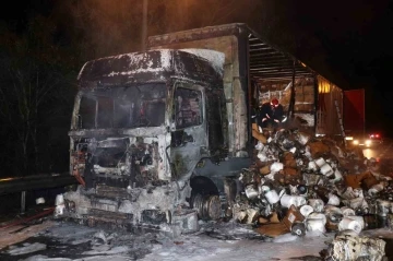 Anadolu Otoyolu’nda elyaf iplik yüklü tır yanarak hurdaya döndü
