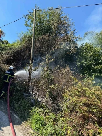 Anız yangını ekipleri harekete geçirdi
