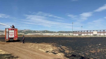 Anız yangını iş yerlerine sıçramadan söndürüldü
