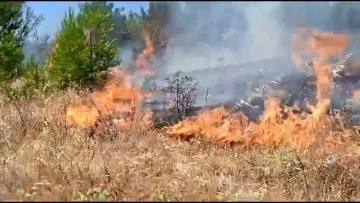 Bursa’da anız yangını