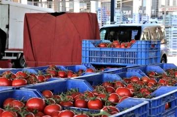 Antalya’da domates miktarı azaldı, fiyat endeksi arttı
