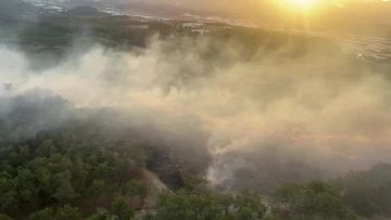 Antalya’da gece başlayan orman yangını sabahın ilk ışıkları ile kontrol altına alındı
