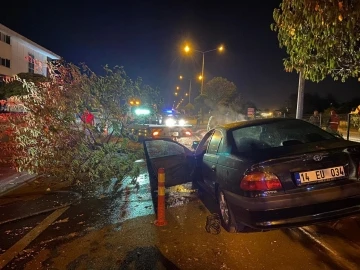 Aracıyla çarptığı orta refüjdeki ağacı gövdesinden kırdı: 1 yaralı
