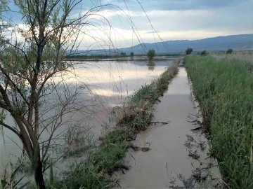 Aralıksız yağışlar tarımsal üretimi olumsuz etkiliyor
