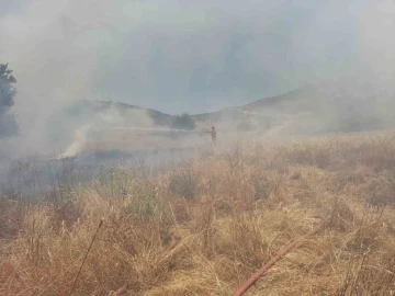 Arazide çıkan yangın ormanlık alana sıçramadan söndürüldü
