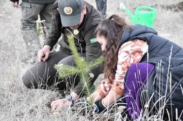 Ardahan’da ’Deprem Şehitleri Hatıra Ormanı’ oluşturuldu
