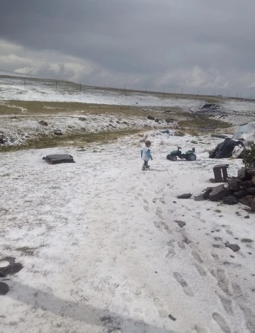 Ardahan’da dolu yağışı
