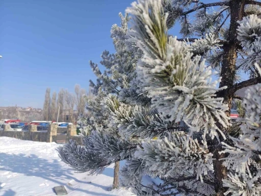 Ardahan’da Sibirya soğukları
