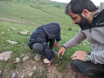 Ardahan’da yağışların ardından &quot;mantar&quot; bereketi
