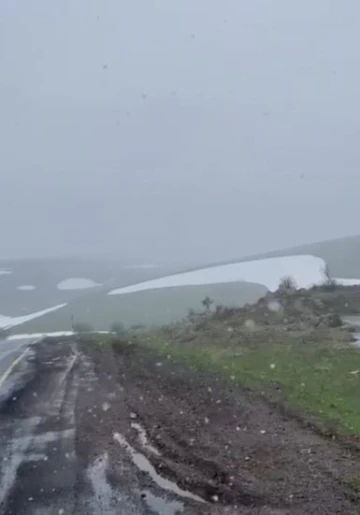 Ardahan’ın yüksek kesimlerinde kar ve sis etkili oldu
