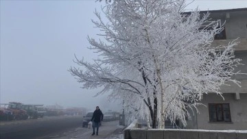 Ardahan'da sis ve kırağı etkili oldu