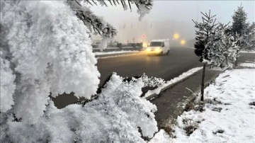 Ardahan'da yoğun sis etkili oldu