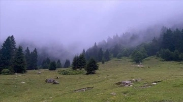 Ardahan'ın yüksek kesimleri sisle kaplandı