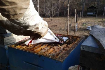 Arıcılar kara kışın ortasında arılara bakım ve yemleme yapıyor
