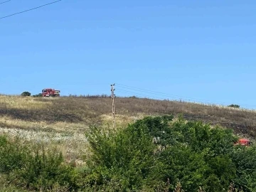 Arsuz’da  ot ve çalı yangını, ormanlık alana sıçramadan söndürüldü
