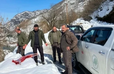 Kaçak avcılar suçüstü yakalandı