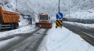 Kar yağışı Hopa-Borçka karayolunu olumsuz etkiledi