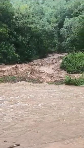 Artvin’de sağanak sonrası dereler taştı, tarım arazileri zarar gördü
