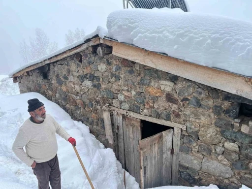 Artvin’in Bıçakçılar köyünde kış zorluklarla geçiyor: Kar kalınlığı 3 metreyi aştı