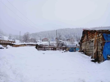 Artvin’in yüksek kesimlerinde kar yağışı Nisan ayında da etkili oluyor
