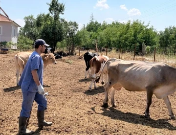 Aşılama kampanyası ilçelerde devam ediyor
