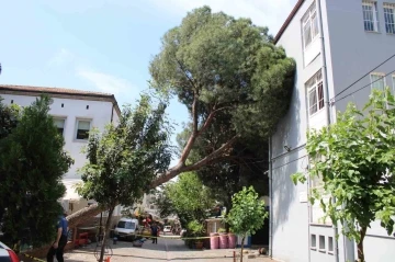 Asırlık ağaç polis karakolunun üzerine devrildi
