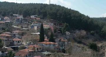 Asırlık camiye ve ormanlarına gözü gibi bakıyorlar
