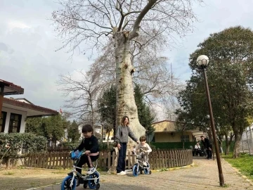 Asırlık çınarın altında 150 yıldır kahve içiliyor
