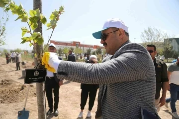 ASÜ’de 12 dönümlük alana farklı türde 350 adet fidan dikildi
