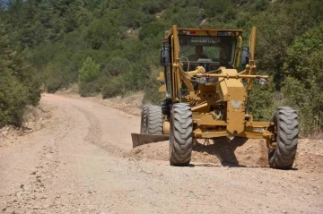 Atatürk Ormanı’nda bakım devam ediyor
