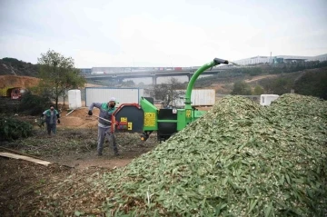 Atıklar kompost gübreye dönüşüyor, 70 bin TL’lik tasarruf sağlanıyor
