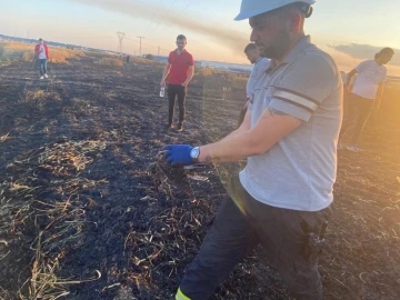 Ava çıkan atmacalar, tonlarca buğdayı küle çevirdi
