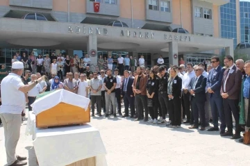 Avukatın feci sonu: Yanlış planlanan pencere ölümüne sebep oldu
