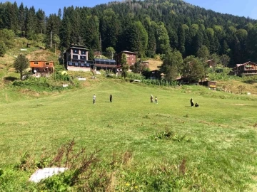 Ayder Yaylası yerli turistlere kaldı
