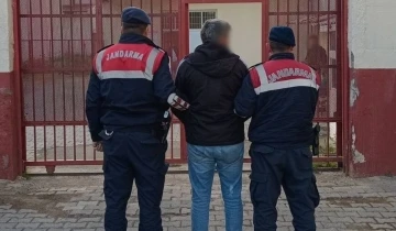 Aydın jandarmasından eş zamanlı operasyon: 38 şahıs yakalandı
