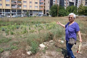 Aydındaki Aykonutzedelerin umutları tükendi
