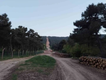 Aydos ormanında çıkan yangın söndürüldü
