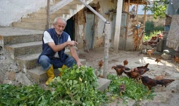 Ayılar köy merkezine indi: Yavru ayı kümesteki hayvanları, anne ayı ise fasulyeyi yedi
