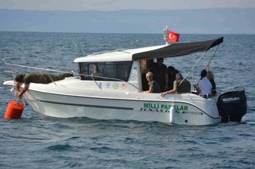 Ayvalık’ta denizin akciğerleri deniz çayırları için tonozlu koruma
