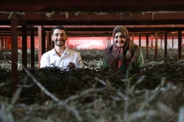 Babaannesinden esinlendi, Elazığ tarihinin en büyük ipek böcekçiliği çiftliğini kurdu
