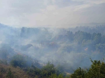 Babadağ’daki yangında dumanların arasında kalan şahıs yoğun bakıma kaldırıldı
